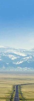 私家侦探哪家好-现实励志扎心句子，句句戳中人心